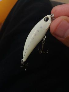 Lures Duo tetra works toto hs