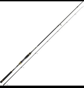 Rods Daiwa Daiwa bg seabass 10-40 270