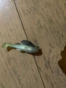 Lures null Gobi
