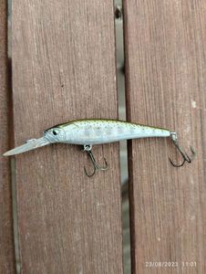 Lures Caperlan Leurre à truite