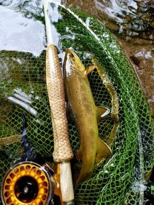 Rods Fishbone custom Rod  River Gem 10'5 #3/4