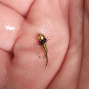 Flies Maison Nymphe olive Flies Maison Nymphe olive