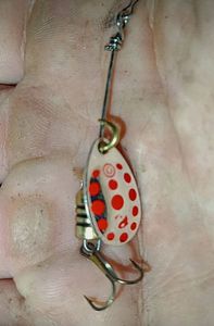 Lures Caperlan Cuiller tournante #0 argentée points rouges