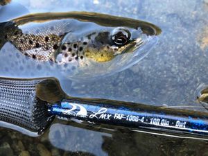 Rods NFC North Fork Composites FAF1006 Rods NFC North Fork Composites FAF1006