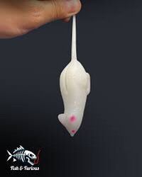 Lures null MOUSE fish&furious ANSE