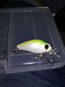 Lures null crank Ali 7