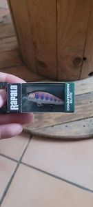 Lures Rapala CDE55 GDRT