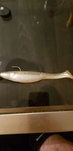 Lures Berkley Shad gulp