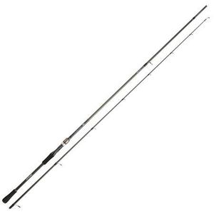 Rods Daiwa Canne Spinning RZ 10/35g 2M74