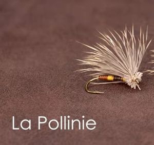 Flies null Mouche sèche Pollinie jaune - jp Dessaigne
