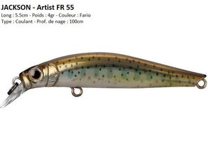 Lures Jackson ARTIST FR 55 (Fario)