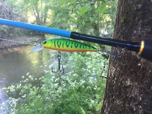 Lures W-lure W-lure