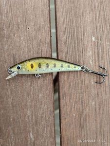 Lures Evnki Leurre c.8