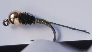 Flies null paon 2 Flies null paon 2