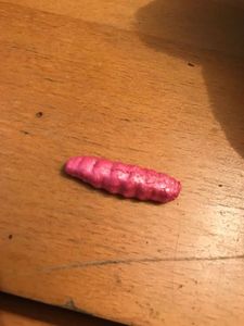 Lures null Imitation Teigne 3 cm coloris rose fluo