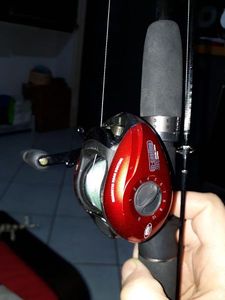 Reels Lineaeffe m casting 201