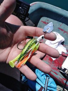 Lures River Stream PLP chatterbaits perch 14g