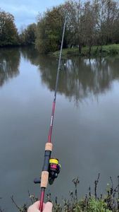 Rods Shimano Sienna Spinning 
