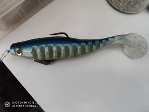 Lures Delalande Neo shallow