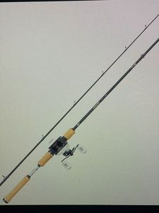 Rods Abu Garcia Abu garcia max pro casting combo 