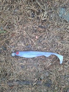 Lures Fox Rage Slick shad Électrique flash 11cm