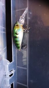 Lures Caperlan Crk 30 F