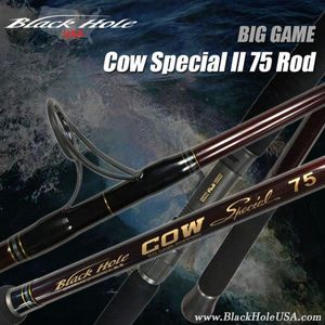 Rods Black hole Black hole cow gen 2