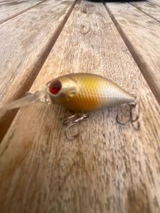 Lures Caperlan Crankbait 
