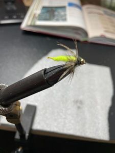Flies tunca tim fox pooaph