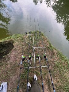 Rods Prowess Prowess distinct 