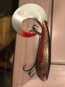 Lures Fox Rage Pro grub 23cm tiger trout