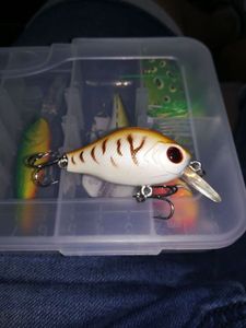 Lures null crank Ali 2