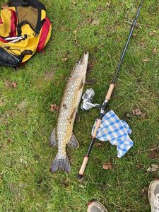 Rods Decathlon Mer