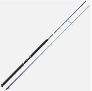 Rods Savage Gear Sgs2 shore jigging