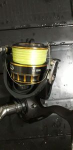 Reels Daiwa BG 2500