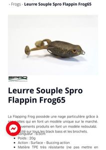 Leurres Spro Flappin frog 65 