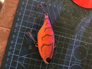 Lures Illex Tn80