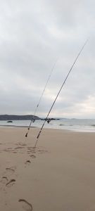 Rods Sunset eolica power 4.50(mauve)
