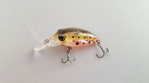 Lures Trulinoya DW40