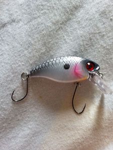 Lures SuXXes Crankbait Silver Lures SuXXes Crankbait Silver