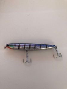 Lures Bearking Walking Dog