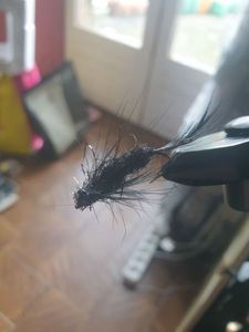 Flies null Nymphe type montana