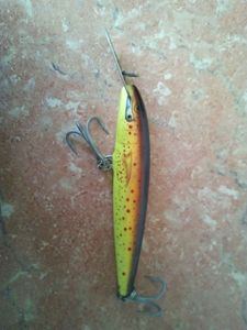 Lures null rapala 17cm