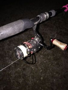 Reels Seaknight Morph 3000