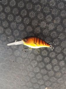 Lures Caperlan Crank bait caperln