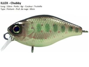 Lures Illex CHUBBY (Truitelle)