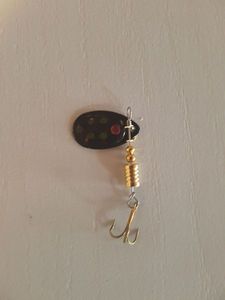 Lures Waterwings Spinner