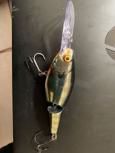 Lures Rapala Jointed Shad Rap JSR09