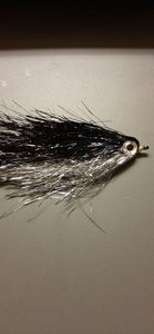 Flies JMC Fly003