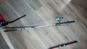 Rods null aquatica 